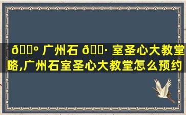 🌺 广州石 🌷 室圣心大教堂攻略,广州石室圣心大教堂怎么预约